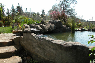 Photo of a farmhouse landscaping in Sacramento.