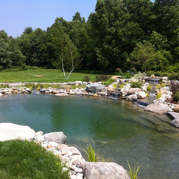 Charlotte Natural Swimming Pond