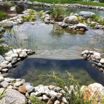 Charlotte Natural Swimming Pond