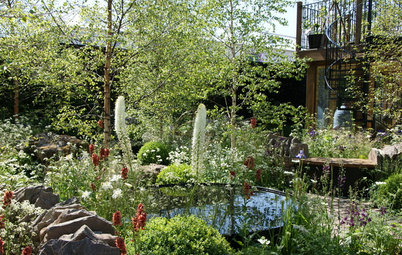 Insider Tricks for Creating the Chelsea Flower Show Garden Look