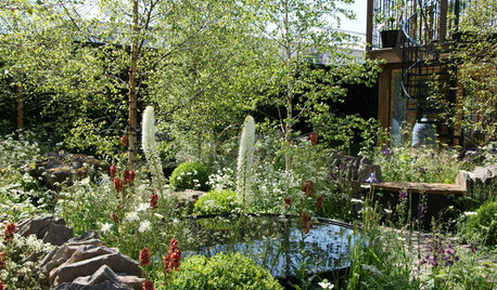 Insider Tricks for Creating the Chelsea Flower Show Garden Look