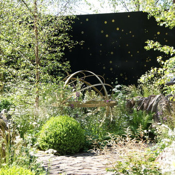 Chelsea Flower Show 2014 - Vital Earth, The Night Sky Garden