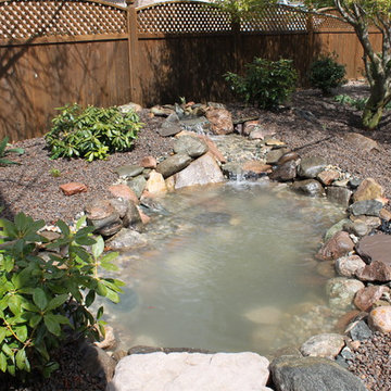 Chelsea, Mi Pond and Landscape Project