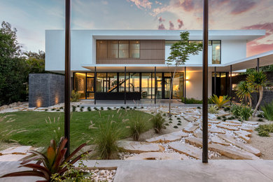 Cette image montre un grand jardin minimaliste avec une exposition ensoleillée.
