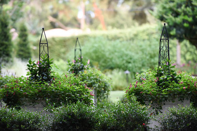Modelo de jardín de estilo americano en patio delantero con jardín de macetas