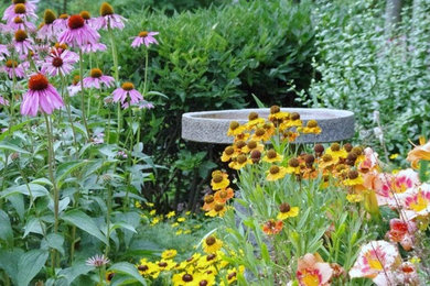 Imagen de jardín de tamaño medio en primavera en patio trasero con jardín francés, fuente y exposición total al sol
