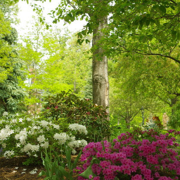 Chesterton, Indiana shaded landscape garden