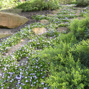 Chesterton, Indiana shaded landscape garden