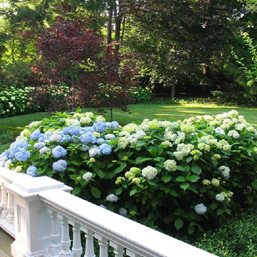 Chestnut Hill