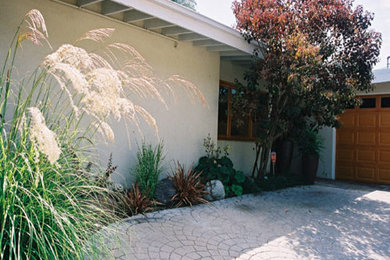 This is an example of a medium sized classic front driveway garden in Los Angeles.