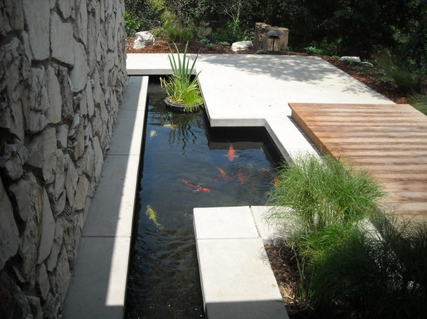 Contemporary Landscape by Behr Construction Company