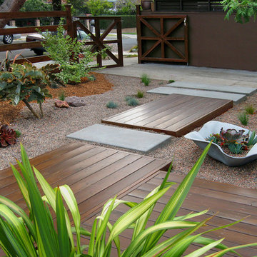 Chic Sustainable Entry Garden- Los Feliz
