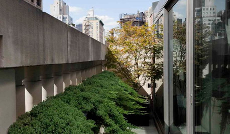 Great Design Plant: Creeping Juniper Holds Its Ground