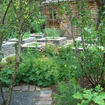 Chicago Kitchen Garden