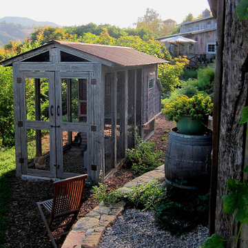 Chicken Coop in rural Santa Barbara farm setting
