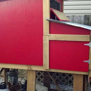 Chicken Coup