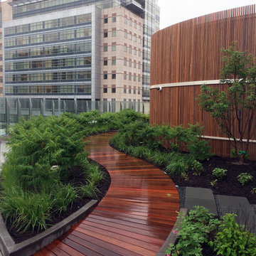 Children's Hospital of Philadelphia - A Rooftop Garden Walkway