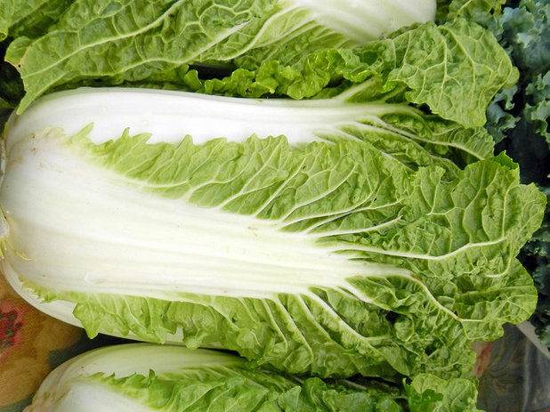 Traditional Landscape Chinese Cabbage