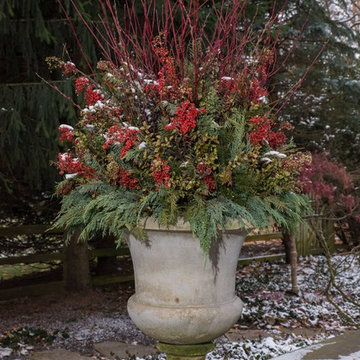 Christmas Decorations and Outdoor Lights
