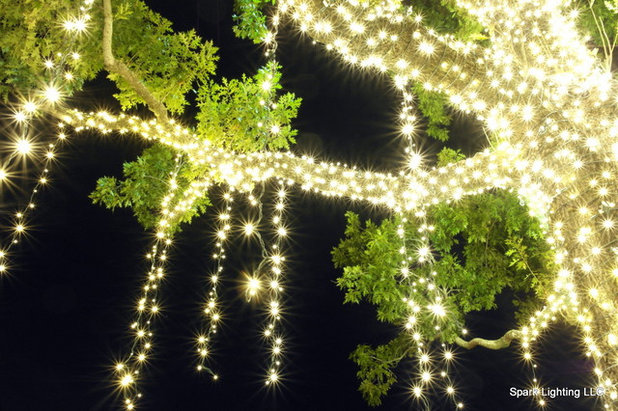 Классический Сад Christmas Lighting at River Oaks Country Club