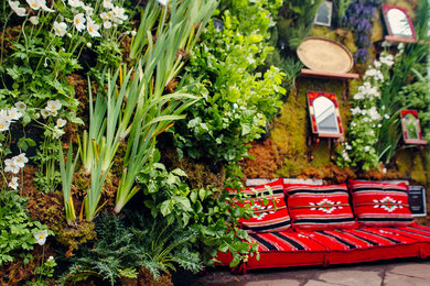 シンシナティにある高級な広い地中海スタイルのおしゃれな庭 (壁面緑化) の写真