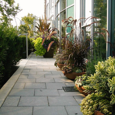 Photo of a contemporary landscaping in Vancouver.