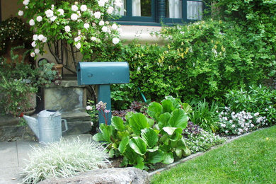 オースティンにあるトランジショナルスタイルのおしゃれな庭の写真