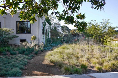 This is an example of a mediterranean drought-tolerant and full sun front yard stone landscaping in San Diego.