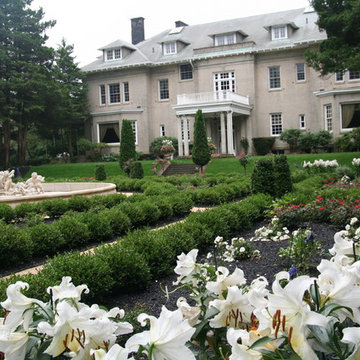 Classic Gold Coast Garden