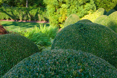 Geometrischer, Großer, Halbschattiger Klassischer Garten hinter dem Haus in New York