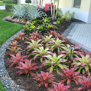 Tropical Front Yard Landscaping Ideas, How To Landscape Front Yard In Florida