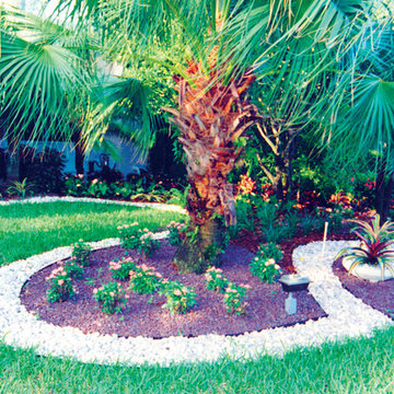 Clean-Lined Garden at the Polo Club in Boca Raton