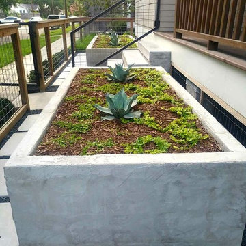 Clean Lines with Frost Blue Agave. Low water need garden!
