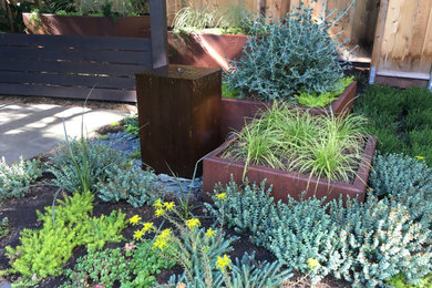 This is an example of a modern drought-tolerant backyard landscaping in Vancouver.