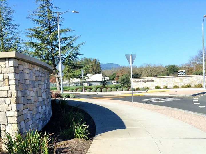 Driveway - Contemporary Landscape