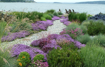7 Ways to Use Drifts and Masses In Your Garden