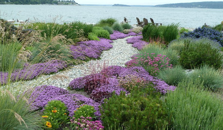 7 Ways to Use Drifts and Masses In Your Garden