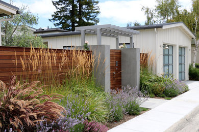 Photo of a farmhouse full sun landscaping in San Francisco with a pergola.