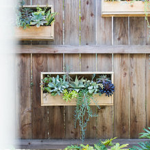 11 idées pour cultiver sur les murs d'un balcon ou d'une terrasse