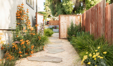 How to Keep Your Yard Healthy and Attractive With Less Water