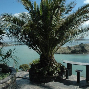 Coastal Palm Garden