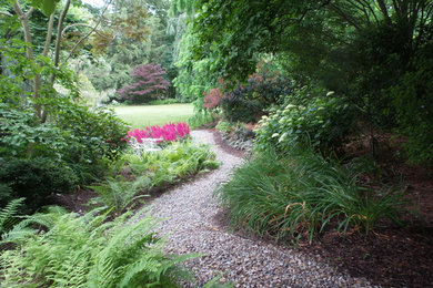 Imagen de jardín clásico en verano en patio lateral con gravilla