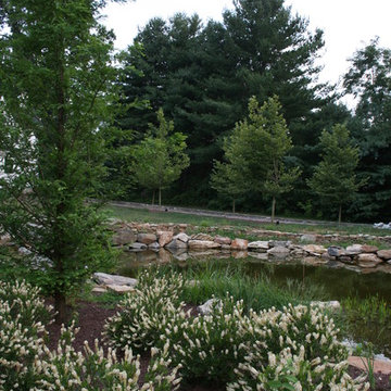 Colonial Farmhouse Landscape