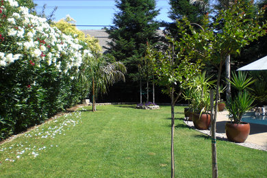 サクラメントにあるトラディショナルスタイルのおしゃれな庭の写真