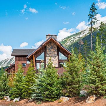Colorado & White Spruce with Rock Features