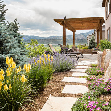 Colorado Native Landscape