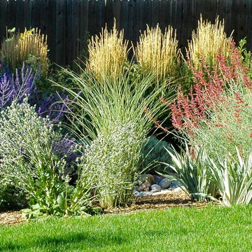 Colorado Springs Xeriscape Garden