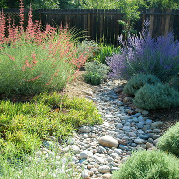 Colorado Springs Xeriscape Garden