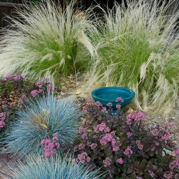 Colorado Springs Xeriscape Garden