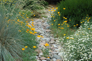 デンバーにある広い地中海スタイルのおしゃれな庭 (庭への小道、半日向、天然石敷き) の写真